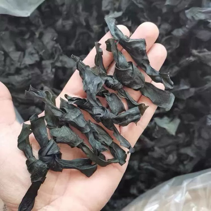🌿สาหร่ายผูกโบว์แห้ง ซุปสาหร่าย หม้อไฟ อร่อย ได้หลายเมนู 50g 海带结干