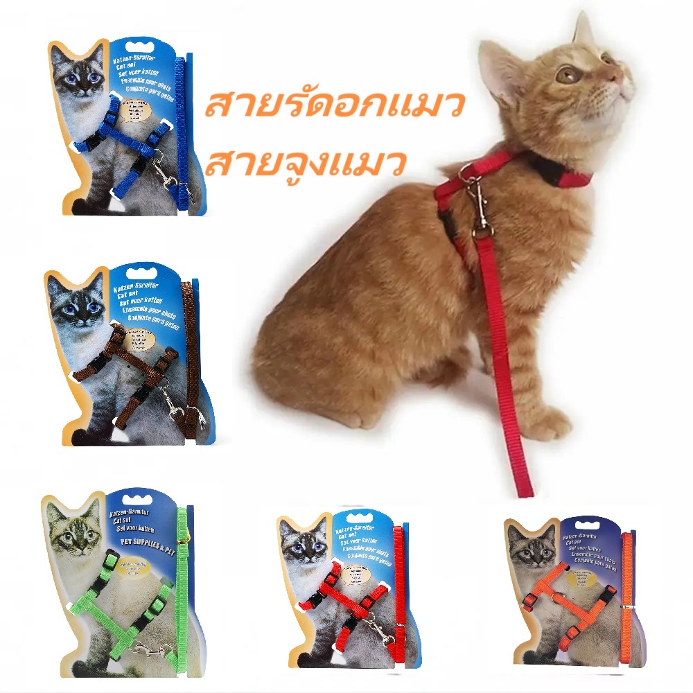 สายรัดอกแมว สายจูงแมว สุนัขพันธ์เล็ก กระต่าย เฟอร์เรท พาจูงสัตว์เลี้ยงเดินเล่น ทำจากไนลอนปรับขนาดได้