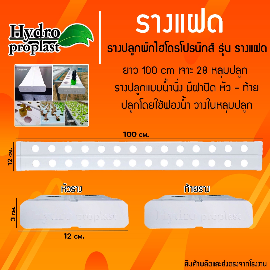 รางปลูก รุ่นรางแฝด เจาะ 28 หลุมปลูก ระบบน้ำนิ่ง ปิดฝาหัวรางอละท้ายราง
