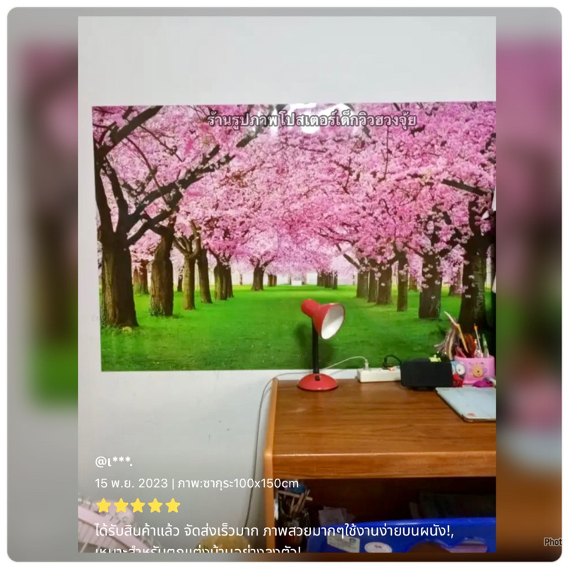 ไม่ใช่สติ๊กเกอร์(มีหลายแบบค่ะ)รูปภาพซากุระ รูปวิว ภูเขา ทิวลิป อื่นๆ รูปภาพโปสเตอร์ติดผนัง - รูปที่ 7