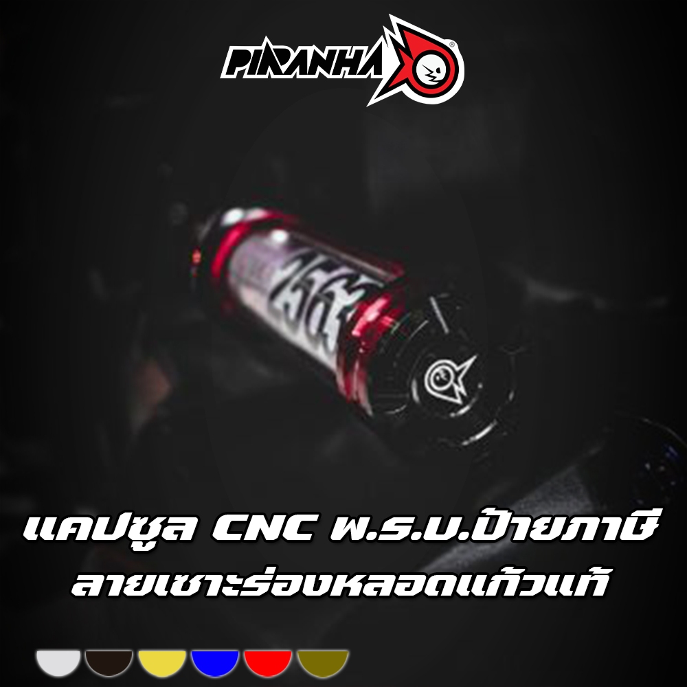 แคปซูลป้ายภาษี เล็ก (ฝา CNC ลายเซาะร่องอะคิลิคและแก้วแท้ มีให้เลือก) PIRANHA (ปิรันย่า)