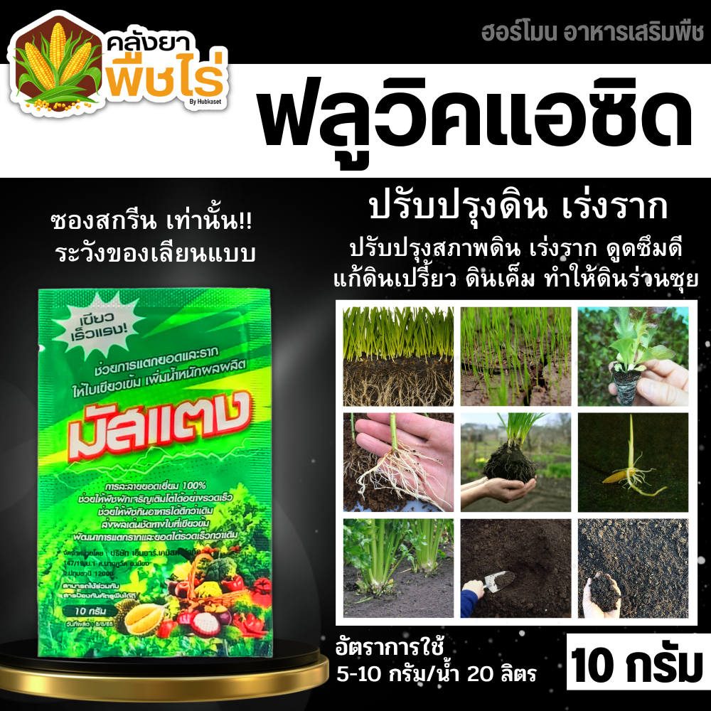 🌽 มัสแตง (ฟลูวิค+ฮิวมิค) 10กรัม เขียวทน เขียวนาน พื้นต้น