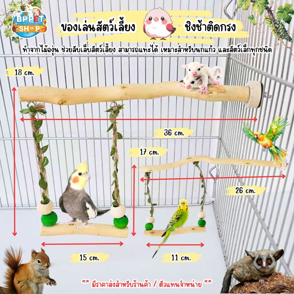 ของเล่นนก ชูก้าร์ไกรเดอร์ กระรอก ชิงช้าสัตว์เลี้ยง ชิงช้ามีเถาวัลย์ ของเล่นสัตว์เลี้ยง (BP)