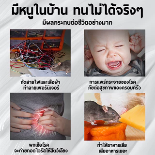 จับหนูตัวใหญ่1000ตัวได้อย่างง่ายๆ กรงดักหนู กันความชื้นและกันสนิม ที่จับหนูอัตโนมัติ ที่ดักหนู กับดักจับหนู ดักหนู