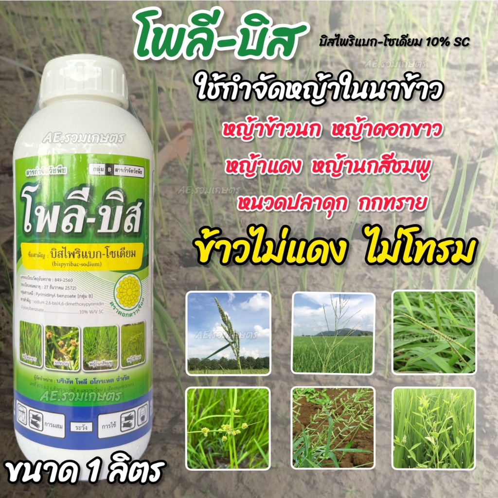 โพลีบิส 1 ลิตร บิสไพริแบค-โซเดียม 10% (ข้าวไม่โทรม ไม่แดง ฉีดจี้ได้) บิสไพริแบก กำจัดหญ้าในนาข้าว ใบแคบ ใบกว้าง กก