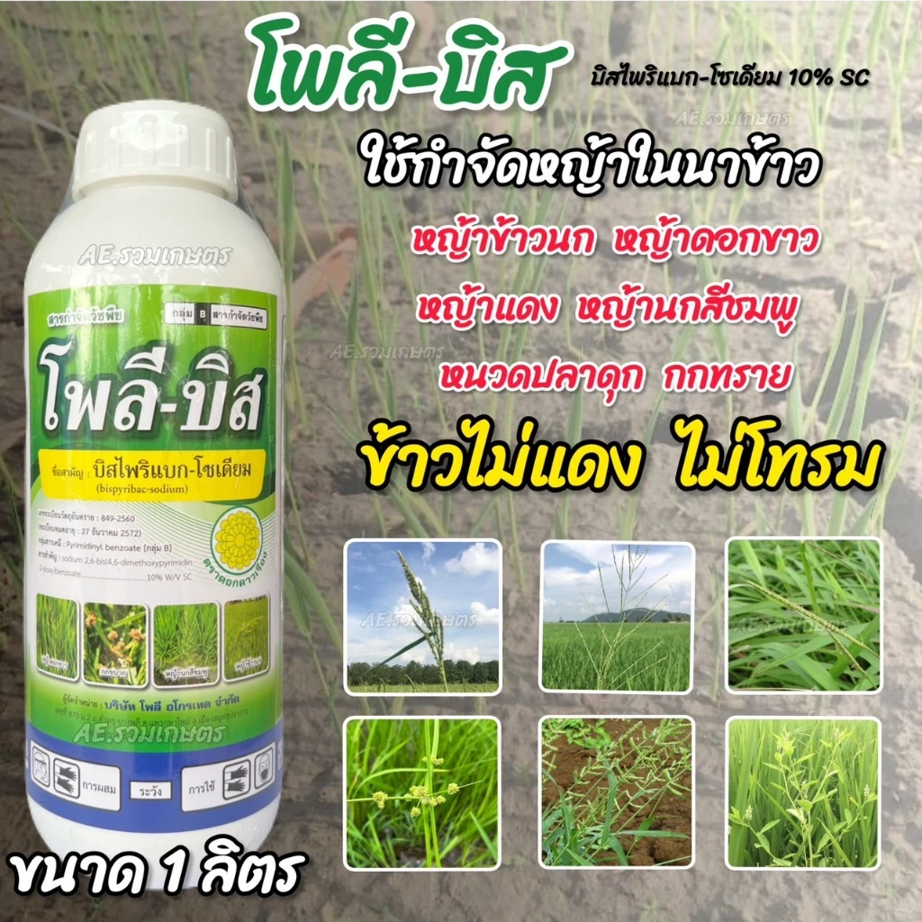 โพลีบิส 1 ลิตร บิสไพริแบค-โซเดียม 10% (ข้าวไม่โทรม ไม่แดง ฉีดจี้ได้) บิสไพริแบก กำจัดหญ้าในนาข้าว ใบแคบ ใบกว้าง กก