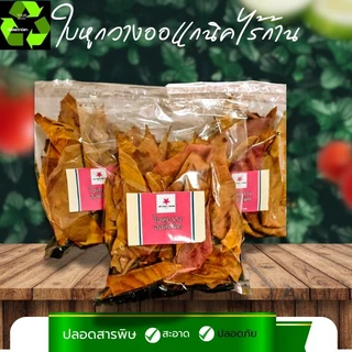 ใบหูกวางออแกนิค ไร้ก้าน #Terminalia Catappa# Malabar leaves #สะอาดปลอดภัยผ่านการฆ่าเขื้อใช้งานง่าย จำนวน1ถุง
