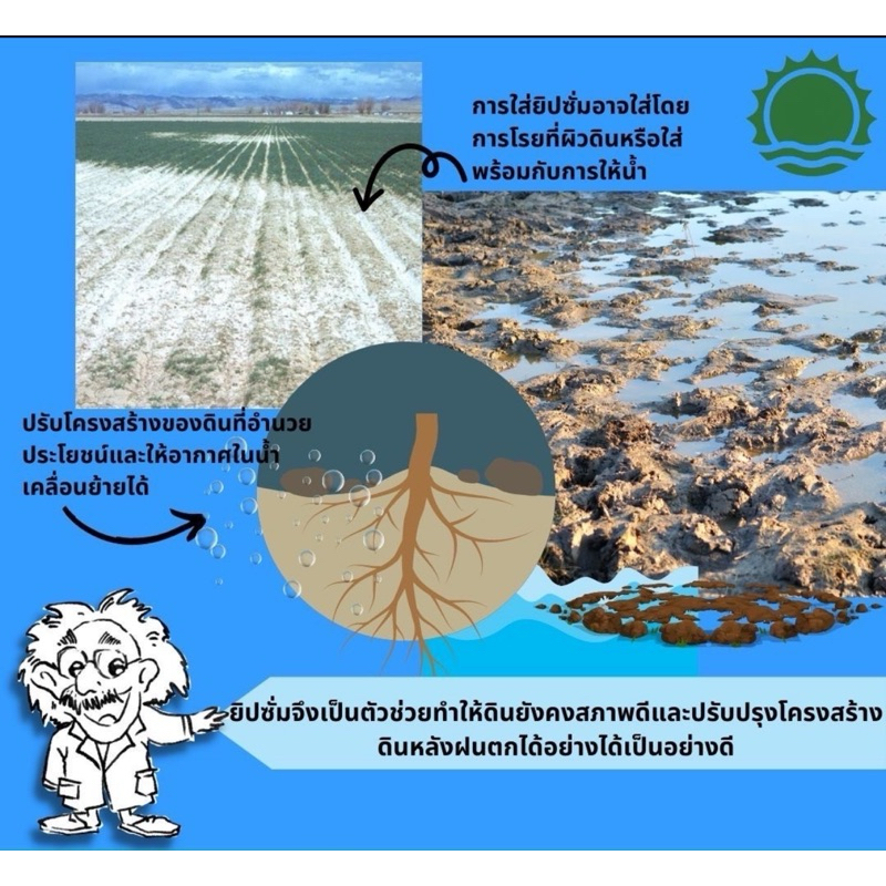 ยิปซั่มตราพระอาทิตย์  1กระสอบ บรรจุ 25โล ยิปซั่มใส่ทุเรียน ปรับปรุงดิน รักษาราก สำหรับการเกษตร - รูปที่ 4