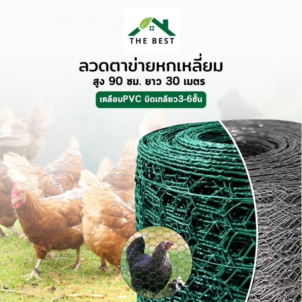 ลวดตาข่ายหกเหลี่ยม (ชุบPVC) สูง 90 ซม. x ยาว 30 เมตร ตาข่ายล้อมไก่ กันหนูกันงู