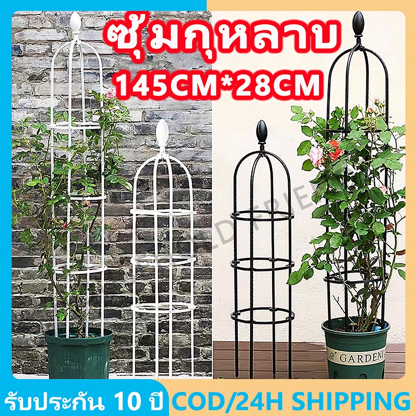 24H Shipping 145cm*28cm ซุ้มกุหลาบ ซุ้มกุหลาบเลื้อย โครงกุหลาบเลื้อย ซุ้มไม้เลื้อย เหล็กแข็งแรง ท่อเหล็กเคลือบ