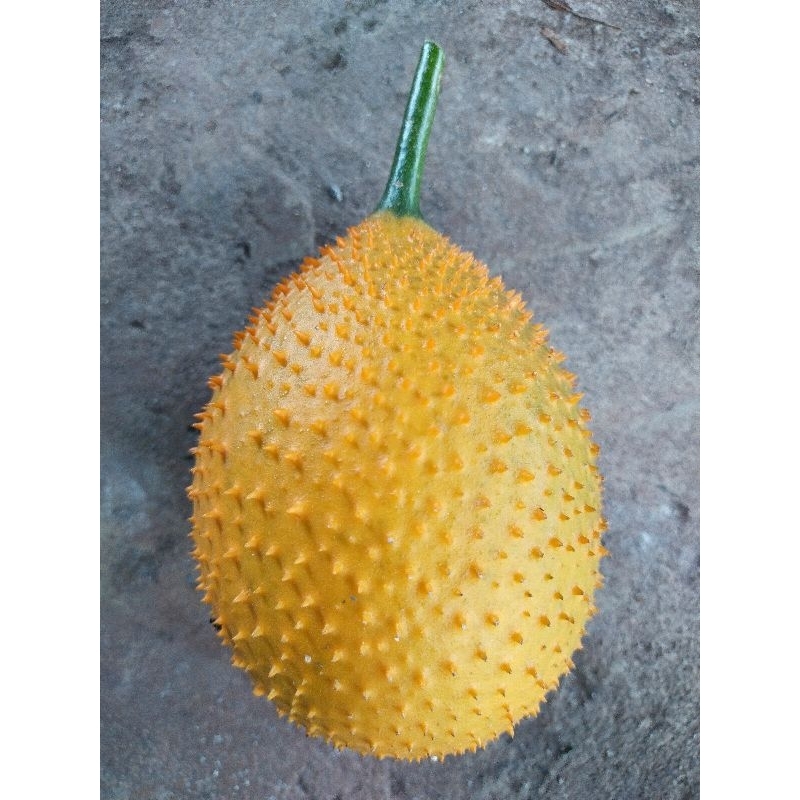 ฟักข้าวสุก น้ำหนัก 1 กก. 79 บาท