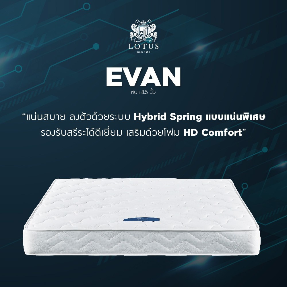 LOTUS ที่นอน (สเปคแน่นสบาย) รุ่น Evan หนา 8 นิ้ว  ส่งฟรี - รูปที่ 2