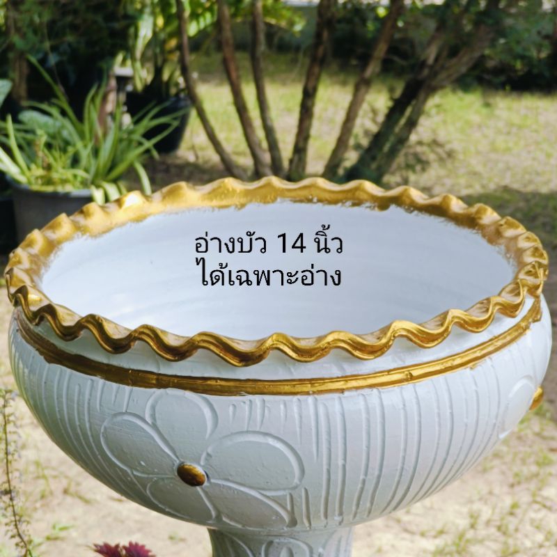 อ่างบัวดินเผาอ่างกว้าง 14  นิ้ว(ได้เฉพาะอ่างบัวนะคะ) โทนขาวทองใช้เป็นอ่างบัวอ่างน้ำพุ ใช้วางไม้ประดับ