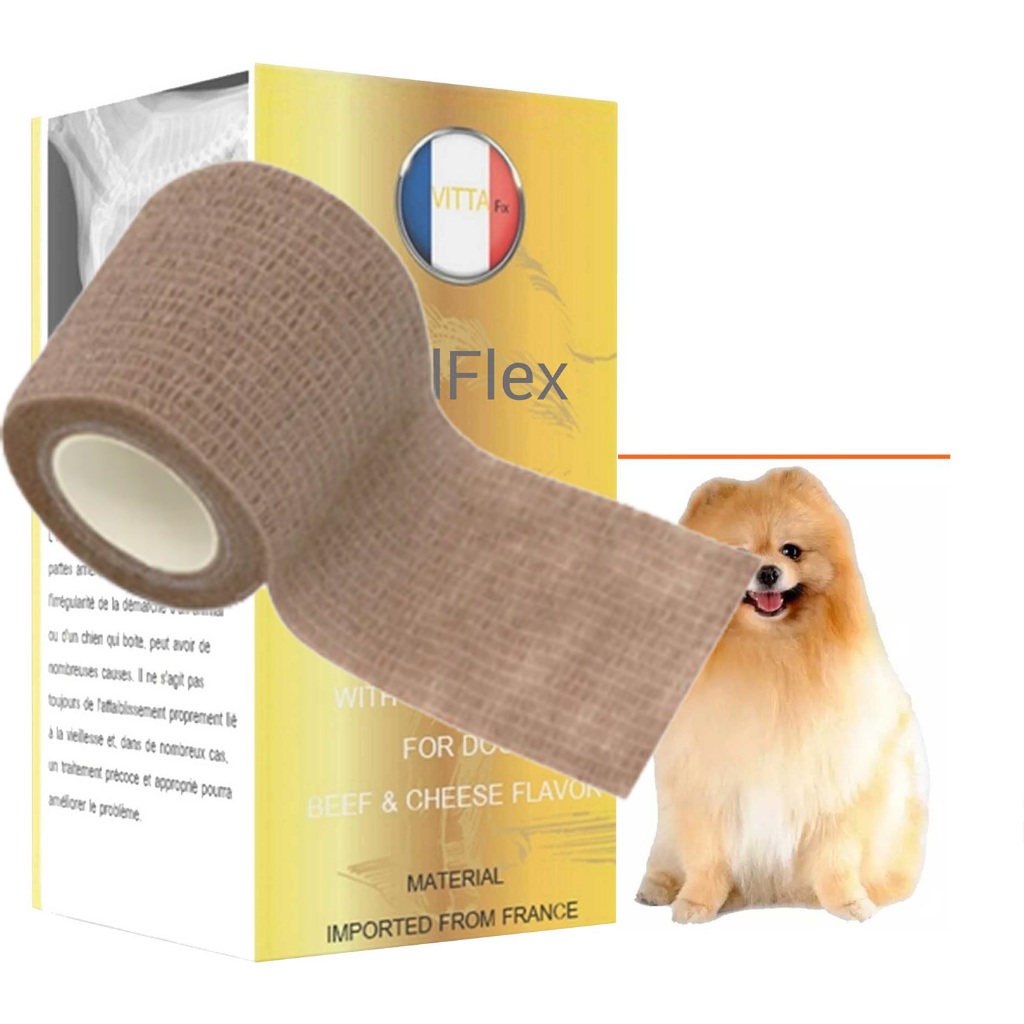 อยู่ดีๆ สุนัขเดินไม่ได้ สุนัขขาหลังอ่อนแรง pantip สุนัขขาหลังอ่อนแรง วิธีรักษา