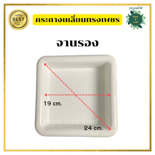 กระถางเหลี่ยมทรงเพชร กระถางต้นไม้แบบพลาสติก กระถางมินิมอล ตกแต่งบ้าน แต่งคอนโด แต่งคาเฟ่ พร้อมส่ง