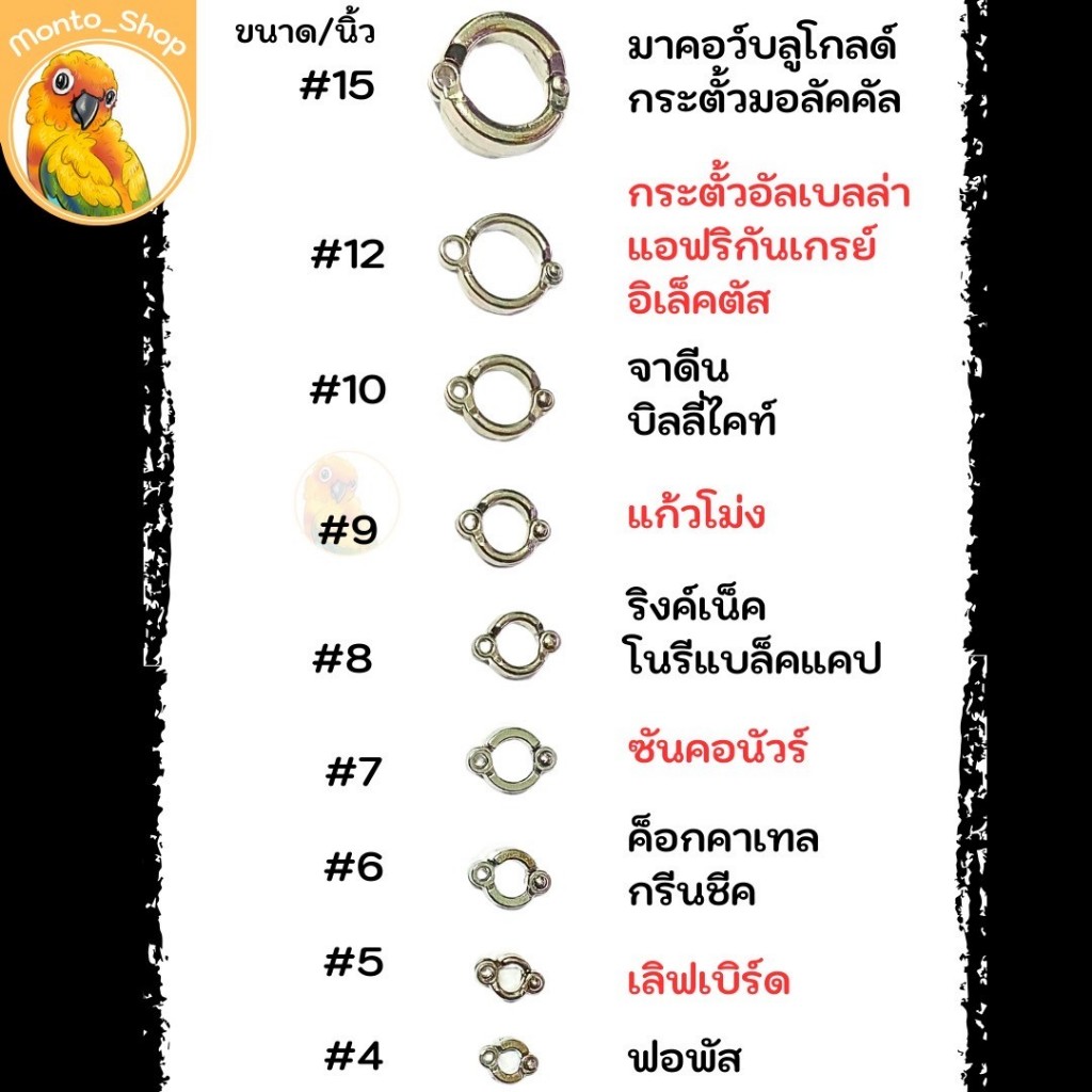 ห่วงขา ประกบ (ห่วงเปิด) สำหรับใส่สายตล้องขานก สีเงิน