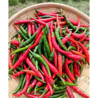 เมล็ดพันธุ์ พริกชี้ฟ้า 30 เมล็ด [ 10แถม2 ]คละได้