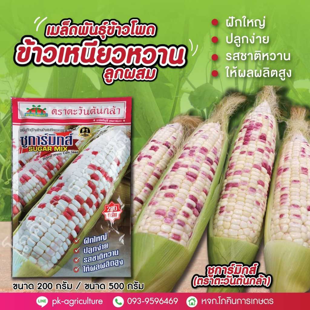 เมล็ดพันธุ์ข้าวโพดข้าวเหนียวหวาน ซูการ์มิกซ์ ขนาด 200 กรัม