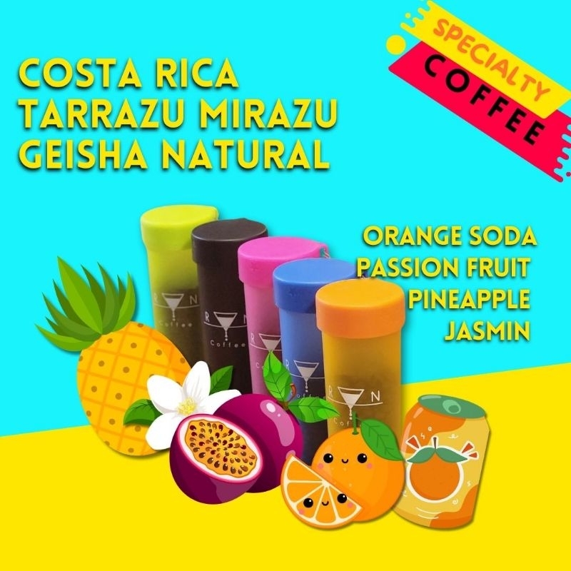 Specialty Coffee!! Costa Rica Tarrazu Mirazu GEISHA Natural (Light Roast)