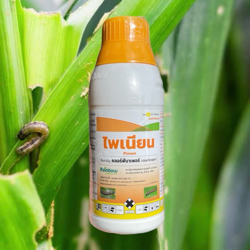 ไพเนียน 500 คลอร์ฟีนาเพอร์ 500 มิลลิลิตร กำจัดหนอนดื้อยา หนอนหนังเหนียว