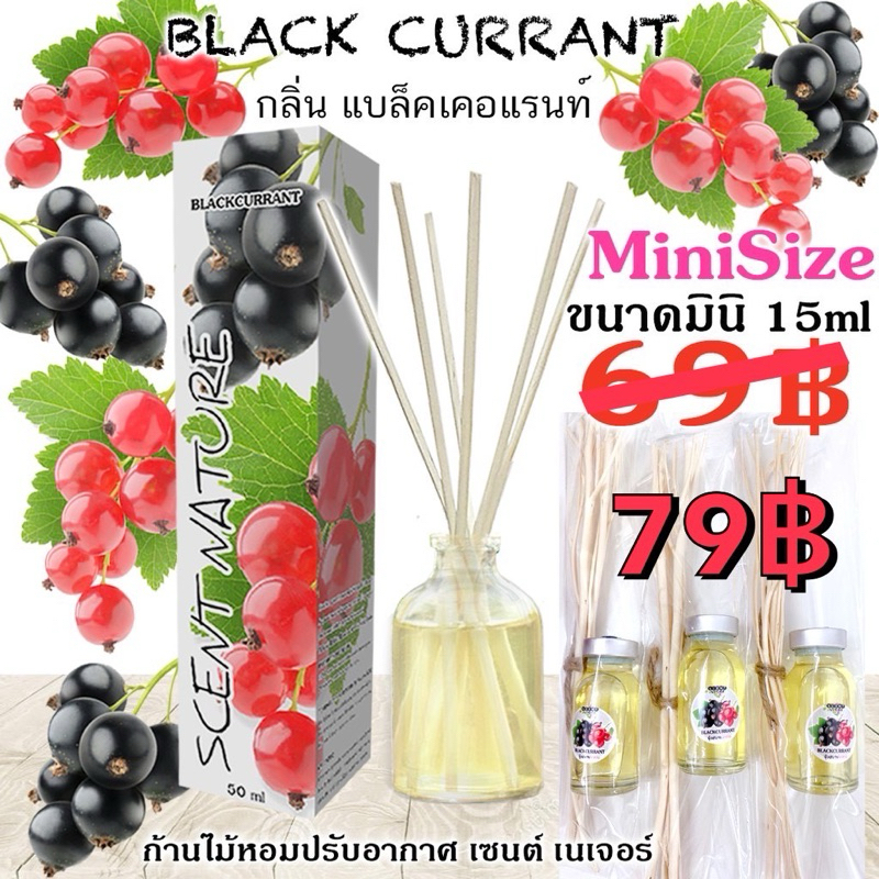 ‼️หอมสุดๆ💥มินิไซส์💥 ก้านไม้หอมปรับอากาศ💥ขนาด 15ml.💥Scent Nature ขนาดทดลอง