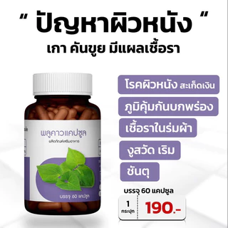 พลูคาวแคปซูล ตราภูรีเฮิร์บ 60 แคปซูล - สมุนไพรผิวหนัง ผื่นคัน (ส่งจาก กรุงเทพฯ)