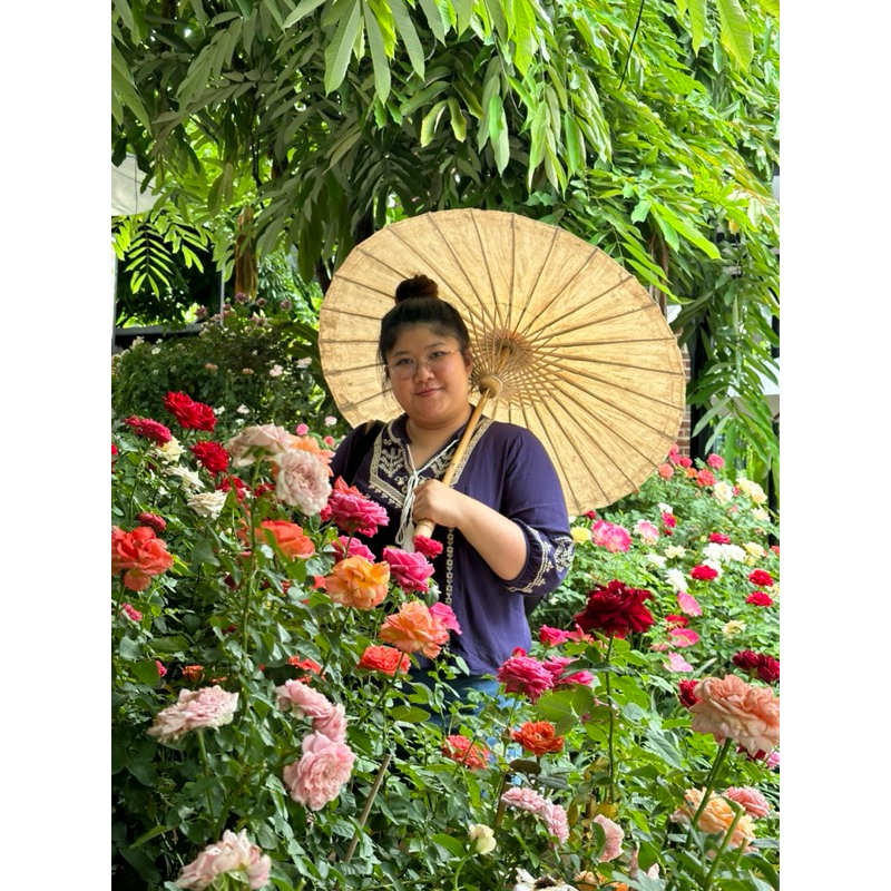 ร่มเชียงใหม่สีขาว 17 นิ้ว ร่มบ่อสร้างกันฝนได้ถุกที่สุดไม่เชื่อลองเช็คดู ขนาดผู้ใหญ่ถือ