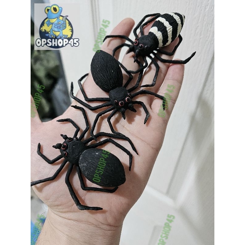 แมงมุมปลอม🕷️🕷️จากยางธรรมชาติ