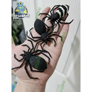 แมงมุมปลอม🕷️🕷️จากยางธรรมชาติ
