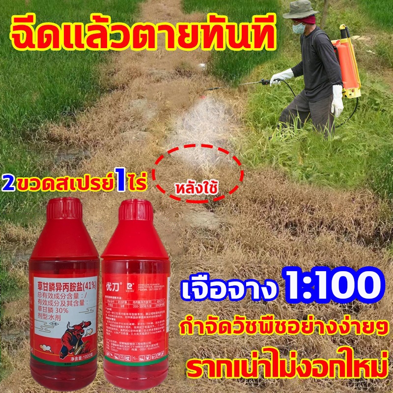 กำจัดวัชพืชอย่างง่ายๆ ยาฆ่าต้นไม้ใหญ่ รากเน่าไม่งอกใหม่ ยาฆ่าต้นไม้ ยาฆ่าตอไม้ สารกําจัดกอไผ่ ยาฆ่าไผ่ ยาฆ่ายาหญ้า