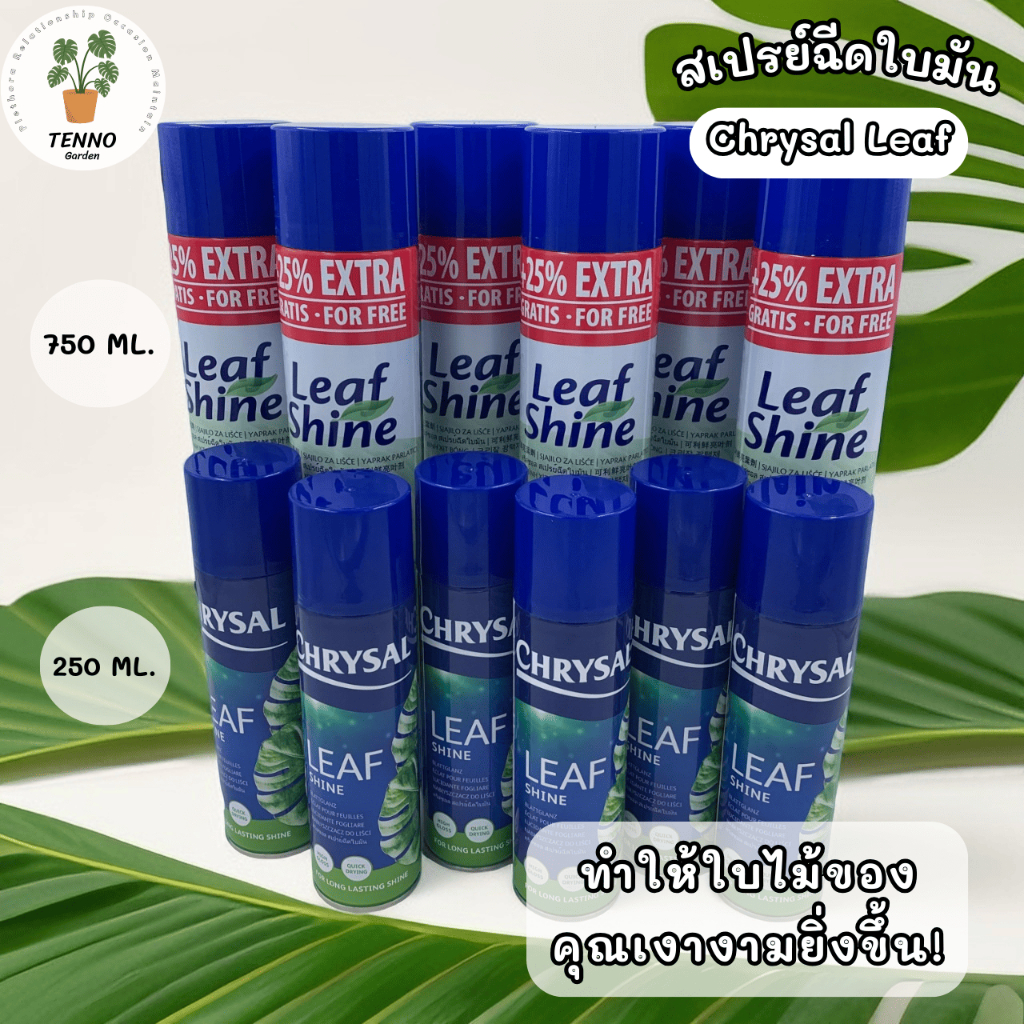Chrysal Leaf shine คริสซอล สเปรย์ฉีดเคลือบเงาใบไม้ ใบมัน ขนาด 250ml. 750ml.