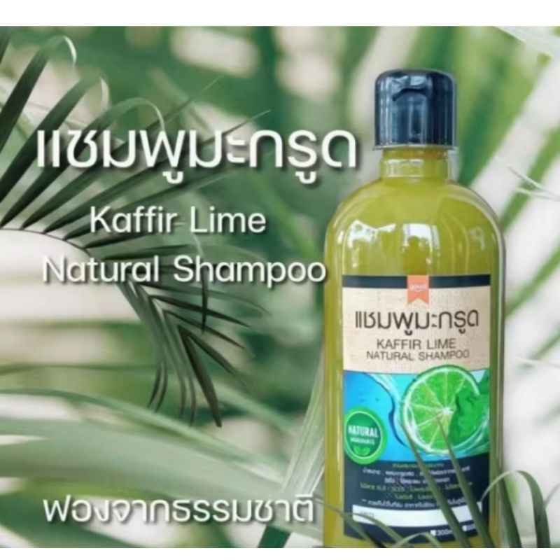 แชมพูมะกรูดออแกร์นิค แบบมีฟอง 500ml. ไร้สารเคมี