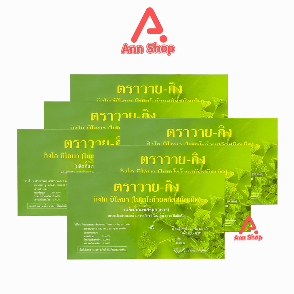 Y-Gink Ginkgo Biloba วาย กิง ใบแป๊ะก๊วยสกัด 30 เม็ด [6 กล่อง] HH 7201 ตัวช่วยคนทำงานและวัยเรียน