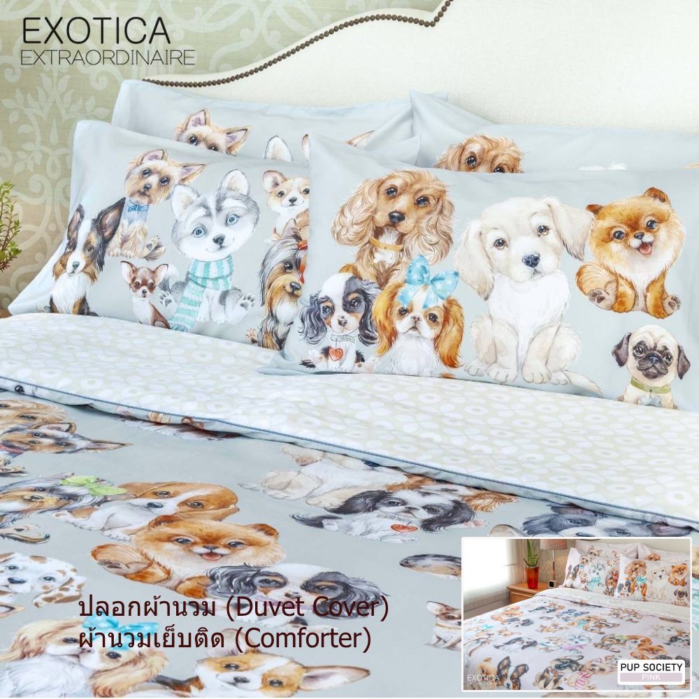 EXOTICA ปลอกผ้านวม/ผ้านวมเย็บติด ขนาด100”x90”(เตียง 6' หรือ 5')และ70”x90”(เตียง 3.5')ลาย Pup Society