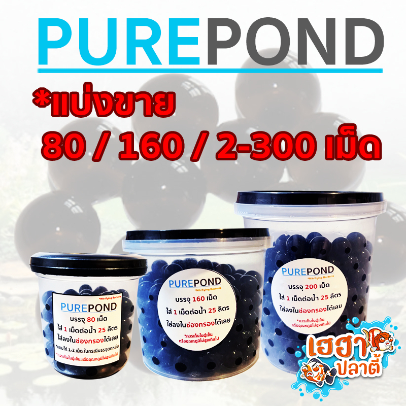 แบ่งขาย Pure Pond แบคทีเรียมีชีวิต (Nitrifying Bacteria) แบบเม็ดเจล ช่วยน้ำใส ลดแก๊สพิษ แอมโมเนีย/ไนไตรท์