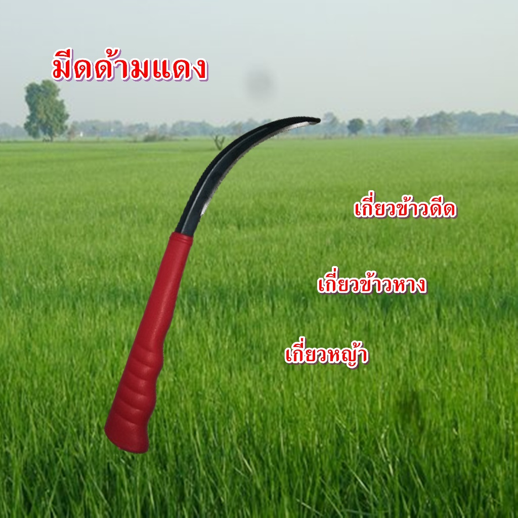 เคียวเกี่ยวข้าวดีดเคียวเกี่ยวข้าวเด้งเคียวเกี่ยวข้าวหางด้ามแดง