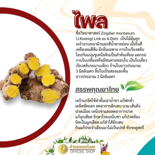 ขี้ผึ้งไพล ตราธงทอง สูตร2 ขนาด 120 กรัม บรรเทาอาการปวดเมื่อย เคล็ด ขัดยอก