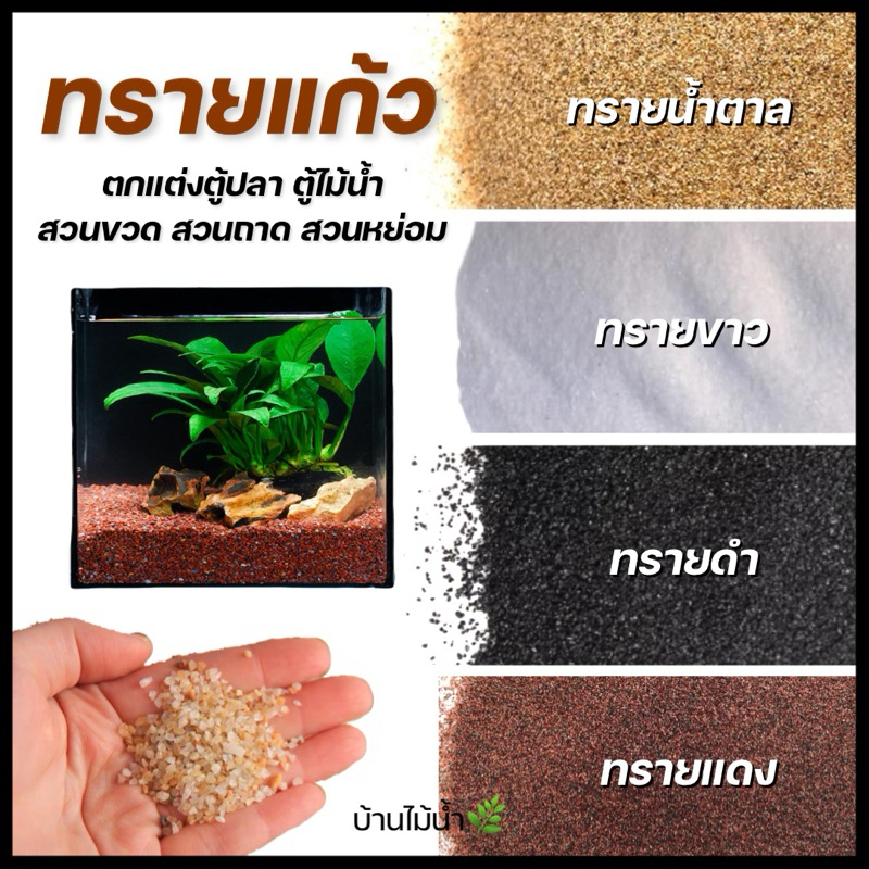 ทรายขาว ทรายน้ำตาล ทรายดำ ทรายแก้วบริสุทธิ์ ทรายแม่น้ำ ตกเเต่งตู้ปลา ตู้ไม้น้ำ โรยกระถาง จัดสวนขวด น้ำจืด | บ้านไม้น้ำ🌿