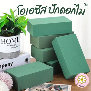 โอเอซิสสีเขียว ก้อน (FO008-1) ลังละ 380 บาท โฟมปักดอกไม้สด อุปกรณ์ปักดอกไม้ (มีราคาก้อน และยกลัง 20 ก้อน สินค้าพร้อมส่ง)