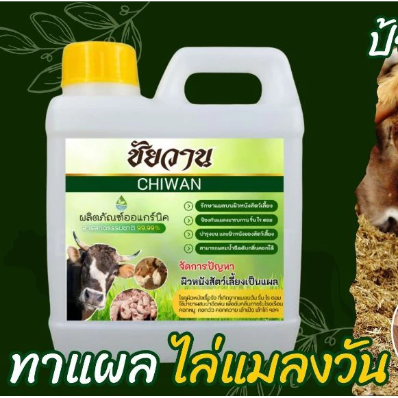 ชัยวาน ดูแลวัว ควาย ไก่ จัดการแมลงวัน แมลงหวี่ ริ้น ไร ตอมแผลวัว ขนาด 1 ลิตร ⭐️ฟรี⭐️หัวฉีดสเปร์ย 1 ชิ้น แค่ฉีดหรือทา