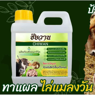 ชัยวาน ดูแลวัว ควาย ไก่ จัดการแมลงวัน แมลงหวี่ ริ้น ไร ตอมแผลวัว ขนาด 1 ลิตร ⭐️ฟรี⭐️หัวฉีดสเปร์ย 1 ชิ้น แค่ฉีดหรือทา