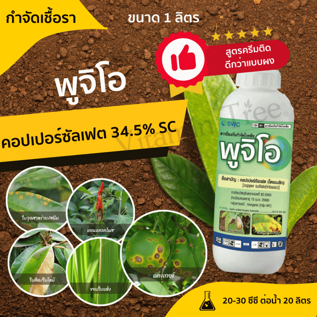 พูจิโอ 1 ลิตร คอปเปอร์น้ำ เนื้อครีม กำจัดเชื้อรา ล้างตระไคร่ คอปเปอร์ซัลเฟต ใบจุด ใบไหม้ แคงเกอร์