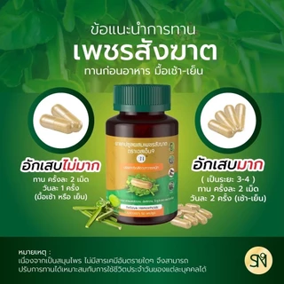 ส่งไว ส่งทันที SN9 แท้ 💯% เพชรสังฆาต ยาแผนโบราณ จัดการริดสีดวง ทุกระยะ สมุนไพร ลดบวมเจ็บแสบ ติดเชื้อ