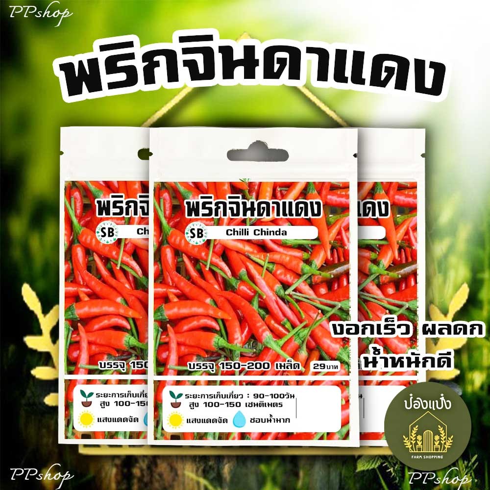พริกแดงจินดา [150-200เมล็ด/ซอง] // PPshop