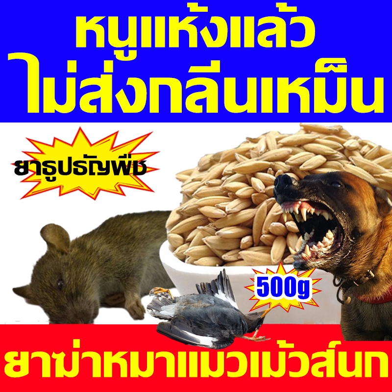 เหยื่อที่หนูชอบที่สุด ตายแห้ง 1คืนฆ่าหนู1000ตัว ยาฆ่าหนู ตายไม่มีกลิ่น ยากําจัดหนู เหยื่อ