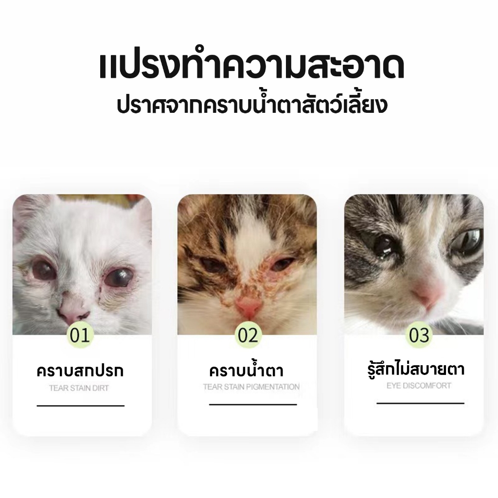 รูปภาพ 4