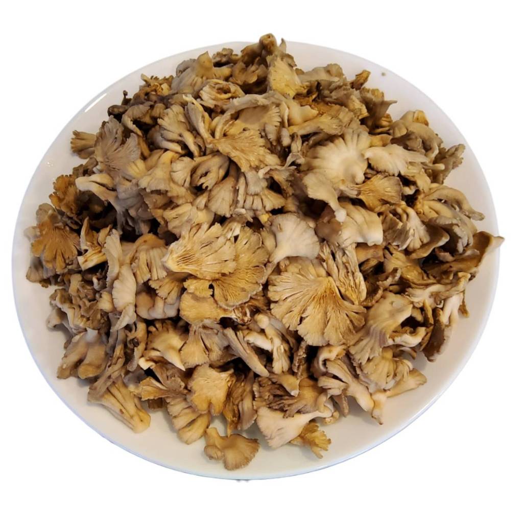 เห็ดแครงแห้ง Dried Split gill mushroomแพ็คถุงสูญ ขนาด 80 รูปที่ 3