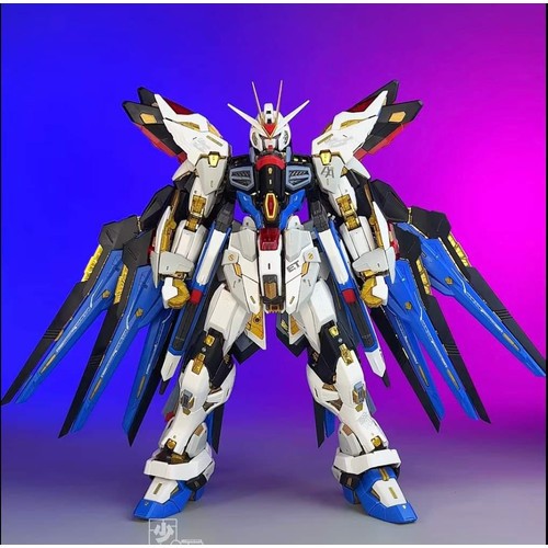 [Xin Model] MGEX 1/100 ZGMF-X20A Strike Freedom
