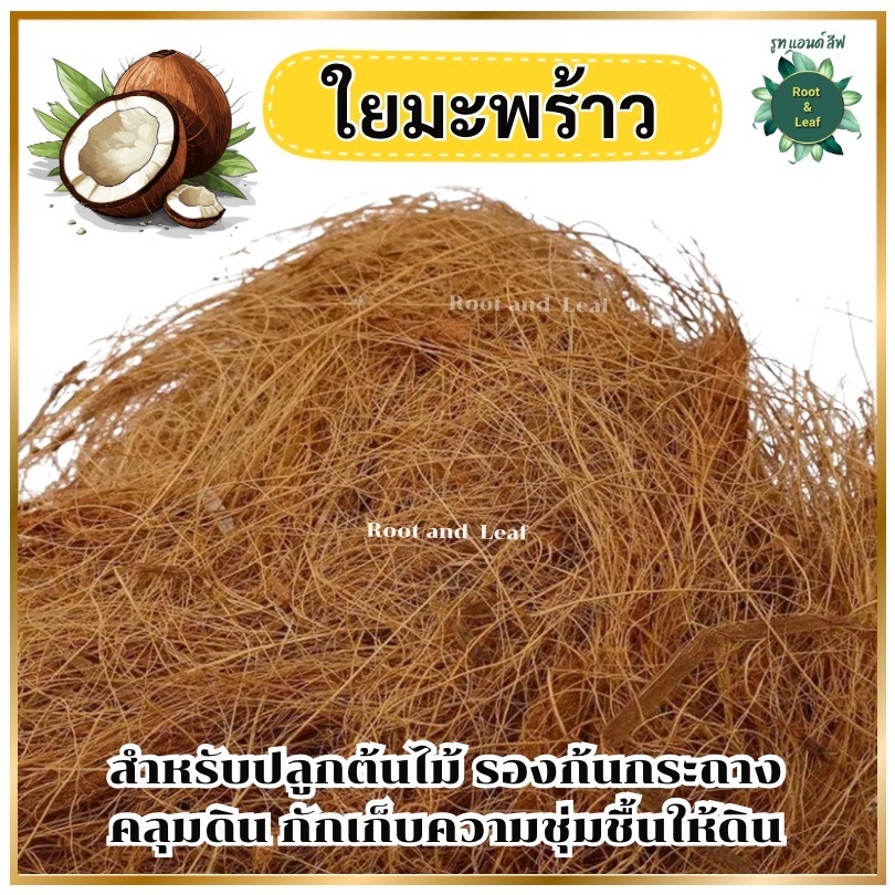 ใยมะพร้าว วัสดุคลุมดินจากธรรมชาติ100% สำหรับรองก้นกระถาง คลุมดิน ช่วยกักเก็บความชุ่มชื้นให้ดิน พร้อมส่ง!!