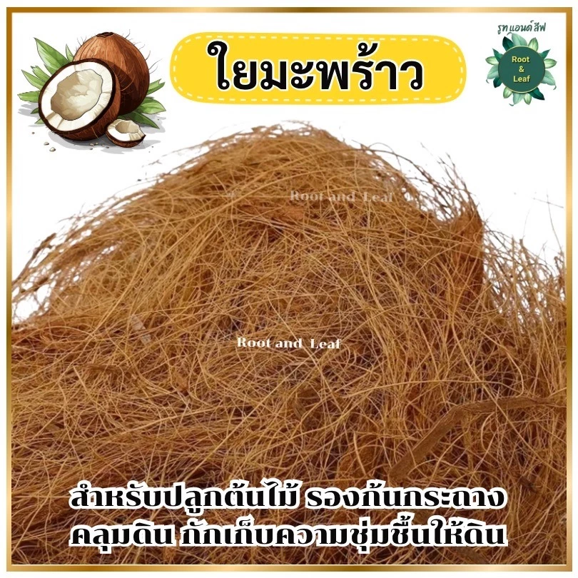 ใยมะพร้าว วัสดุคลุมดินจากธรรมชาติ100% สำหรับรองก้นกระถาง คลุมดิน ช่วยกักเก็บความชุ่มชื้นให้ดิน พร้อมส่ง!!